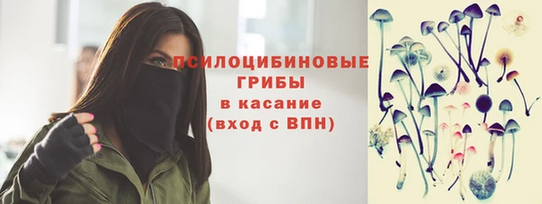 крисы Новозыбков