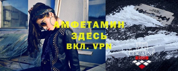 крисы Новозыбков