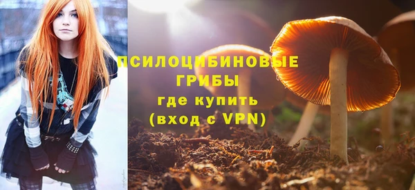 стаф Алзамай